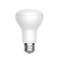 LED8/R63/865/240V/120/E27
