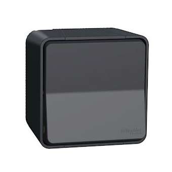 Mureva Styl - Interrupteur bipolaire - saillie - IP55 - IK08 connex auto - gris|Schneider Electric-SCHMUR35033