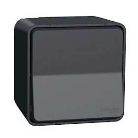 Mureva Styl - Interrupteur bipolaire - saillie - IP55 - IK08 connex auto - gris|Schneider Electric-SCHMUR35033