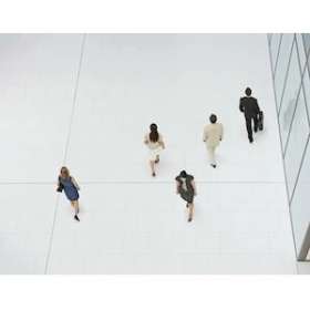 Logiciel de vidéosurveillance - Client/Serveur - Bosch VMS v8.0 - Version Profes|Bosch video-PHVMBV-XWST-80