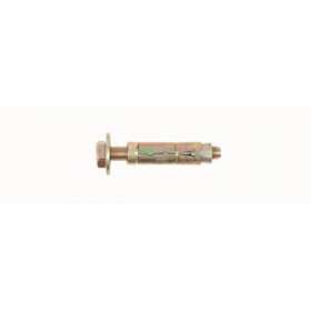 Cheville fonte + vis M10 x 70, long 62 mm, perçage D 18 mm|Erard-EAD107062