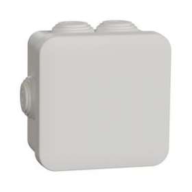 Mureva Box - boite de dérivation avec embouts - 80x80x45 - IP55 - blanc polaire|Schneider Electric-SCHIMT05024