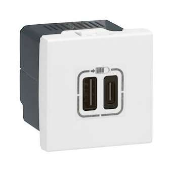 Chargeur 2 USB Type-C 3A 5V 15W Mosaic 2 modules 230V - blanc|Legrand-LEG077590