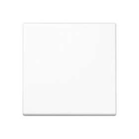 Enjoliveur simple touche / A 500 Blanc|Jung france-IUNA590WW