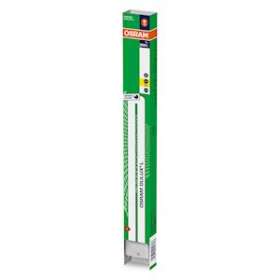 OSRAM DULUX L 36W 830 2G11 BC ou BE|Ledvance-OSR010793