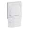 Cadre saillie 1 poste avec interrupteur pour moulure 12,5mm