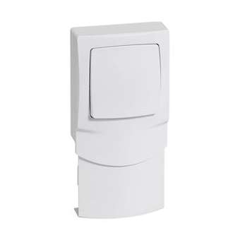 Cadre saillie 1 poste avec interrupteur pour moulure 16mm|Legrand-LEG298912