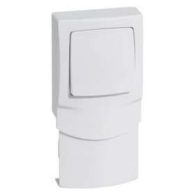 Cadre saillie 1 poste avec interrupteur pour moulure 16mm|Legrand-LEG298912