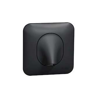 Ovalis - Sortie de cable - 16A - 2 connecteurs - à vis Avec plaque -Anthracite|Schneider Electric-SCHS460662