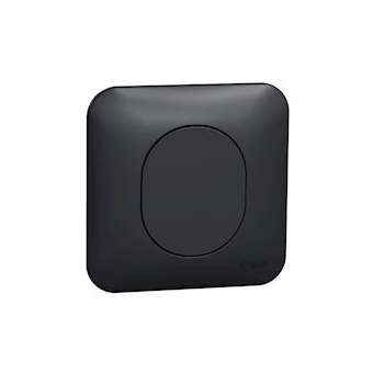 Ovalis - Obturateur Avec plaque de finition -Anthracite|Schneider Electric-SCHS460666