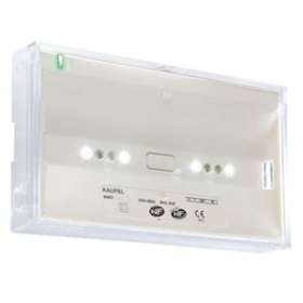 BRIO+/LSC ambiance adressable - 100% LED - 230VAC - NF AEAS - V+|Kaufel-KAU497810K