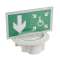 BAES d'évacuation DBR encastré LEDs Kickspot plastique IP40 IK04 SATI Adressable|Legrand-LEG062654