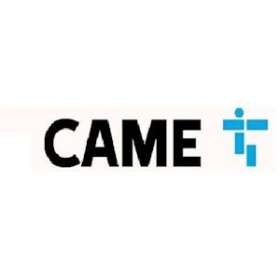 M2000-BT Centrale 2000 codes 2 relais - 12VCC|Came france-KAM001FR2612