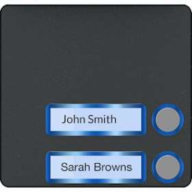 Façade pour module appels avec 2 boutons|Came france-KAM60020660