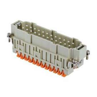 Insert mâle 24P+T 16A 500V gabarit 104.27 série Squich|Ilme-IL1CSHM24