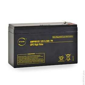 Unité(s) Batterie onduleur (UPS) NX 5.5-12 UPS High Rate FR F6.35/F4.8 12V 5.5Ah|Enix energies-NXGAMP90122