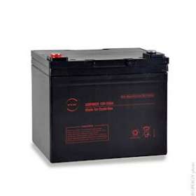 Batterie(s) Batterie plomb AGM NX 33-12 Cyclic 12V 33Ah M6-F|Enix energies-NXGAMP9029