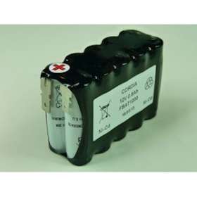 Pack(s) Batterie Nicd FBAT1200 12V 0.8Ah|Enix energies-NXGMGN0476