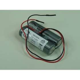 Batterie(s) Batterie lithium 2x ER14505 1S2P ST1 3.6V 5.4Ah F150|Enix energies-NXGMXL0014