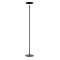 Lampadaire LEDDY ULX led avec variateur d'intensite noir