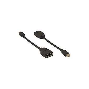 Câble Adaptateur Mini DisplayPort (M) vers DisplayPort (F)|Kramer Electronics France-KRA99-97200007