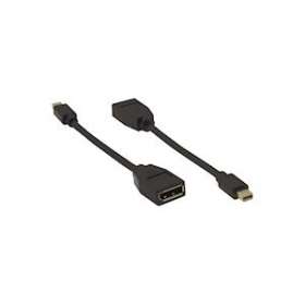 Câble Adaptateur Mini DisplayPort (M) vers DisplayPort (F)|Kramer Electronics France-KRA99-97200007