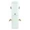 Borne CEZEMBRE Radier + 2 PC Mono 10 A + 2 Robinets - Gris