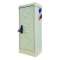 Armoire CAIMAN équipée 3 PC Mono 16 A + 1 PC Tri+N - RAL 1015|Seifel-SEI54076