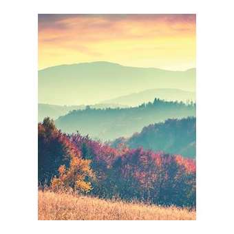 DECOFAST PLAQUE DECOR AUTOMNE L2000X1200X3|Lazer-LZR405114