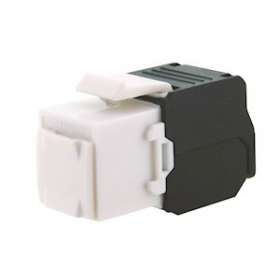 Lot de 100 noyaux INITIO CAT6 UTP 1G sans outil|Gigamedia-GGMINIC6UTL100