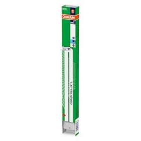 OSRAM DULUX L 36W 865 2G11 BC ou BE|Ledvance-OSR328263