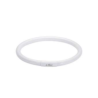 T5 blanc chaud extra 22W 2GX13 225mm|Paulmann-PUA88448