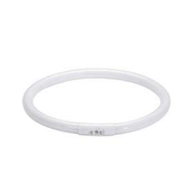 T5 blanc chaud extra 22W 2GX13 225mm|Paulmann-PUA88448