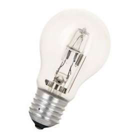 Easy Eco A55 E27 240V 42W Clair|Bailey-BIY20100026093