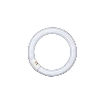 OSRAM LUMILUX T9 CIRCULAIRE L 22W/865 C G10Q|Ledvance-OSR581105