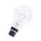 Gls B22D A60 24V 40W Clair