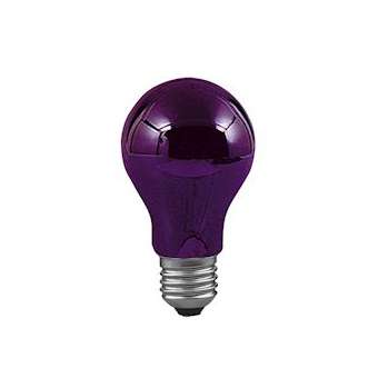 Standard Lumière Noire 75W E27 105mm 60mm Lumière noire|Paulmann-PUA59070