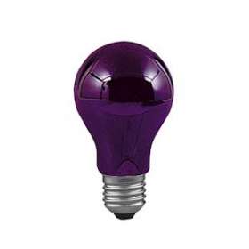 Standard Lumière Noire 75W E27 105mm 60mm Lumière noire|Paulmann-PUA59070