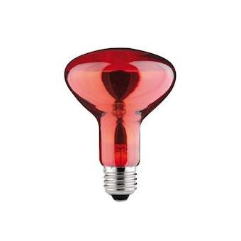 Ampoule R95 100W E27 Infrarouge|Paulmann-PUA82966