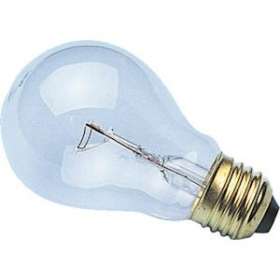 E27 60x105 24V 25W CL|Orbitec-ORB005063