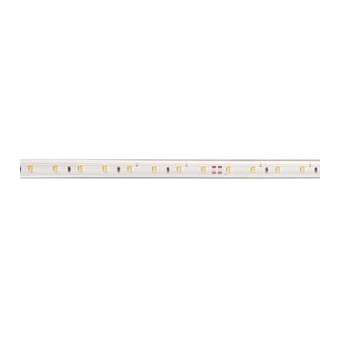 LEDY 230 - Ruban LED protégé IP65 230V 8W/m, 60 LED/m 4000K 650lm/m, lg: 50m.|Aric-ARI55295