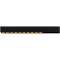 Black Foster Cutom Surface 10X 38DEG 2700K NMG