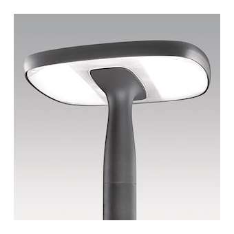 Flex 24L25-730 Op Cl2 W5 T60 Ant|Thorn-TRN96270771