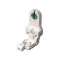 DOUILLE CLIPSABLE+START.P/G13