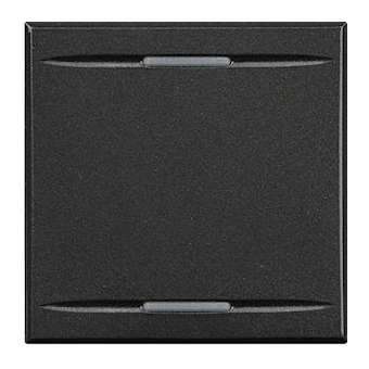 Manette Axolute neutre type bascule 2 modules - Anthracite|Bticino-TICHS4911-2
