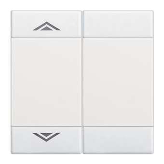 Manette Livinglight symbole montée et descente 2 modules - blanc|Bticino-TICN4911M2AHN