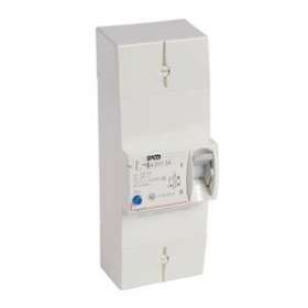 Disjoncteur bipolaire différentiel de protection 300mA - 63A|Legrand-LEG401134