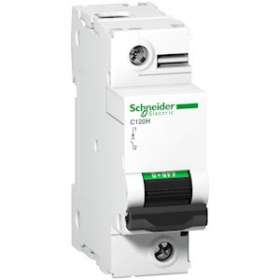 Disjoncteur C120H 1P 80 A, courbe C, 15 kA|Schneider Electric-SCHA9N18446