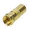 Adaptateur F M/ TV 9.52 mm M - OR