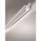 CARTOON, P-40 : LINEAR OPAL 2M